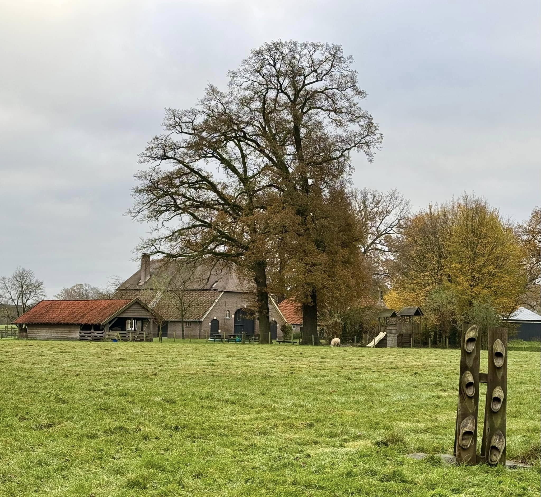 Achterhoeks landschap