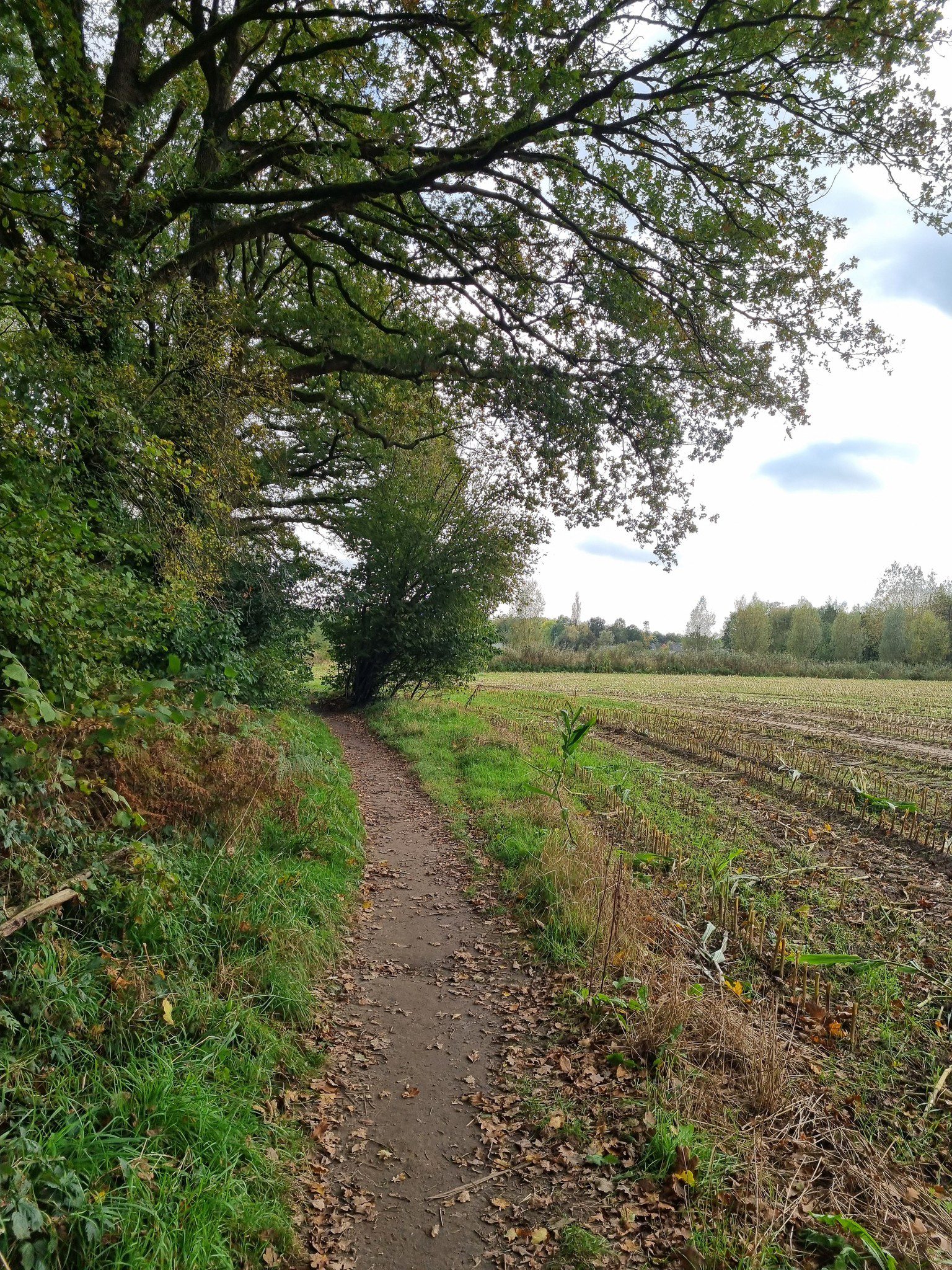 Landweggetje tussen Wichmond en Vorden