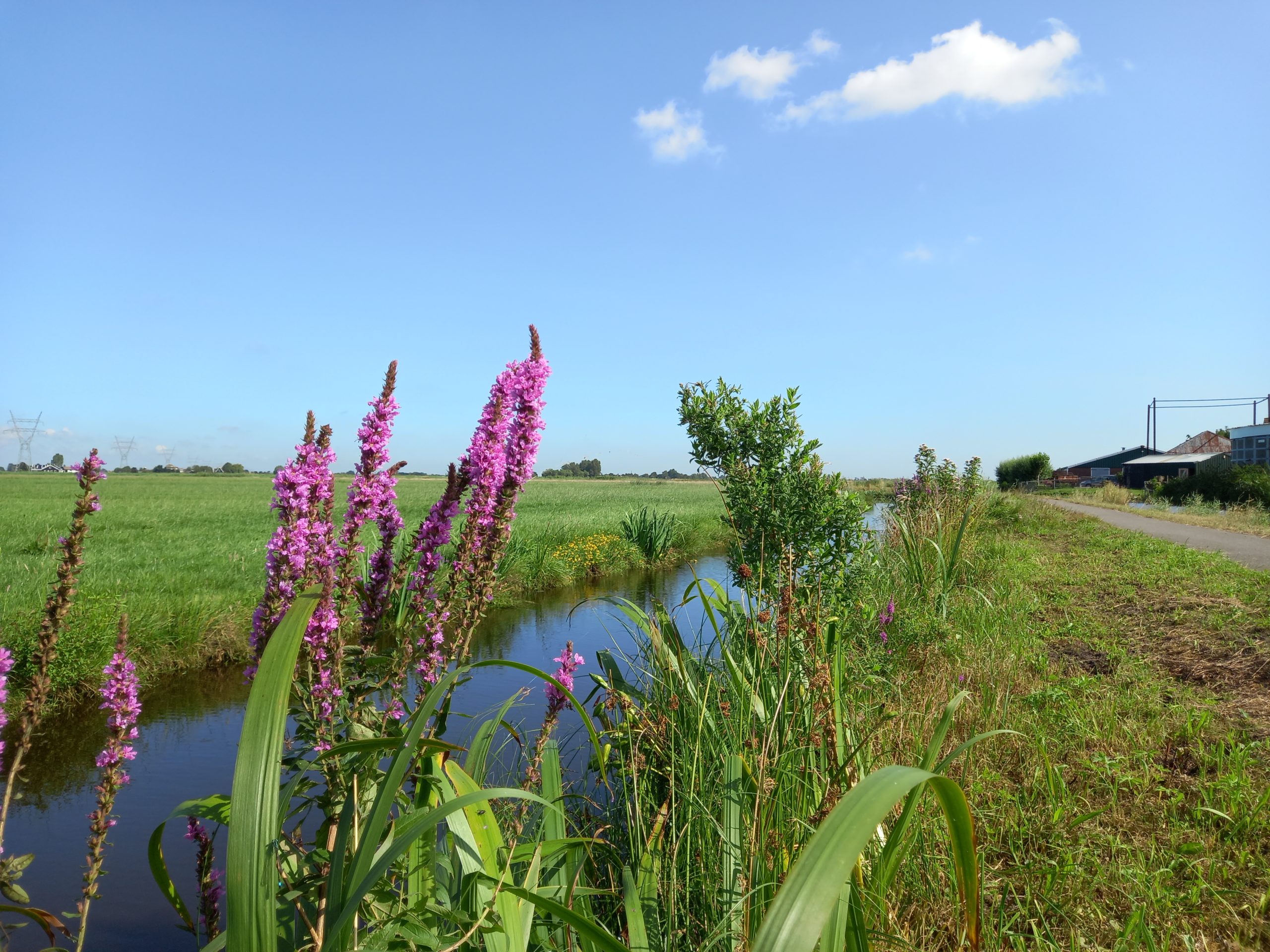 Volgermeerpolder