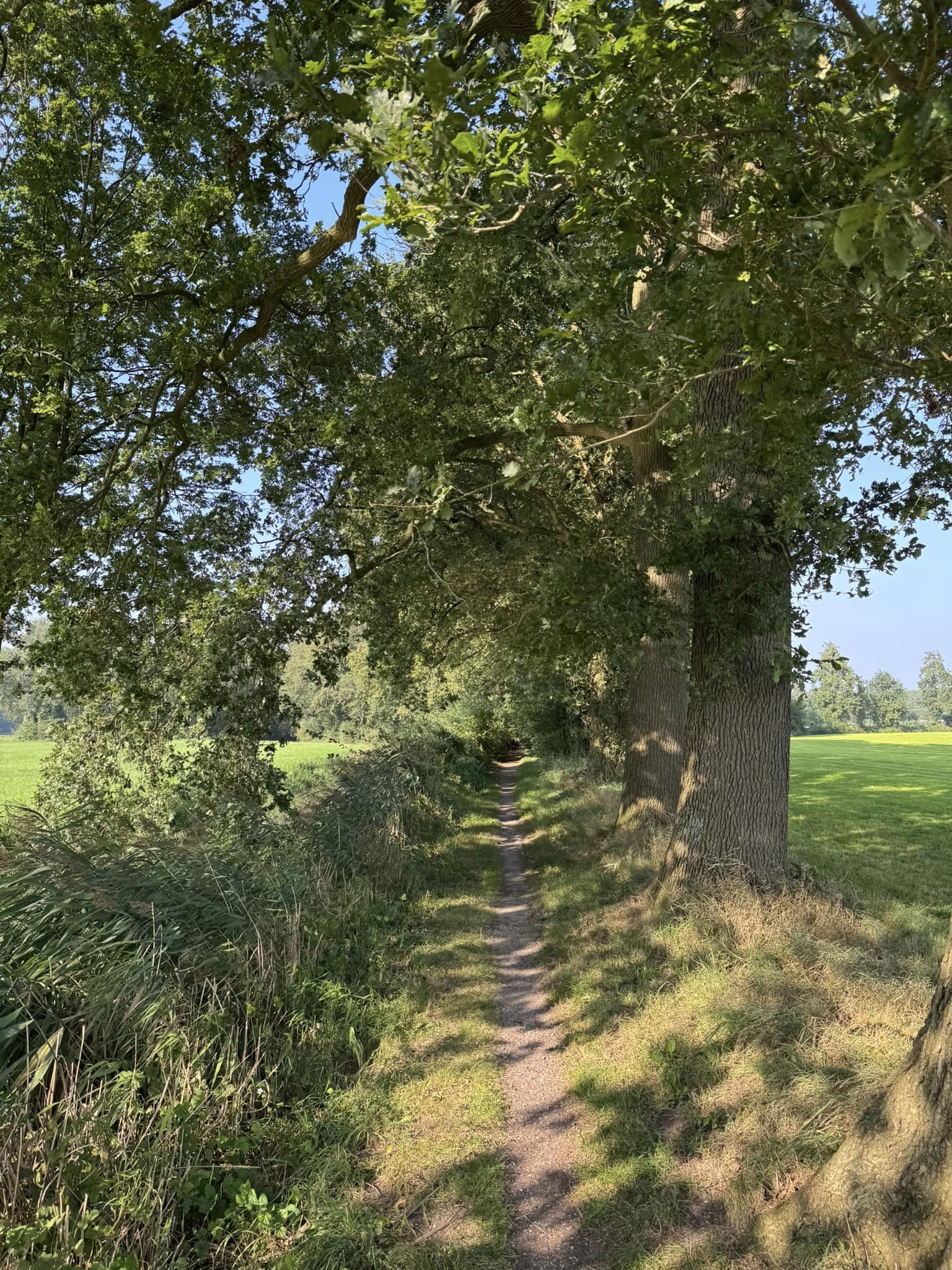 Wandelweggetje tussen Vorden en Ruurlo.