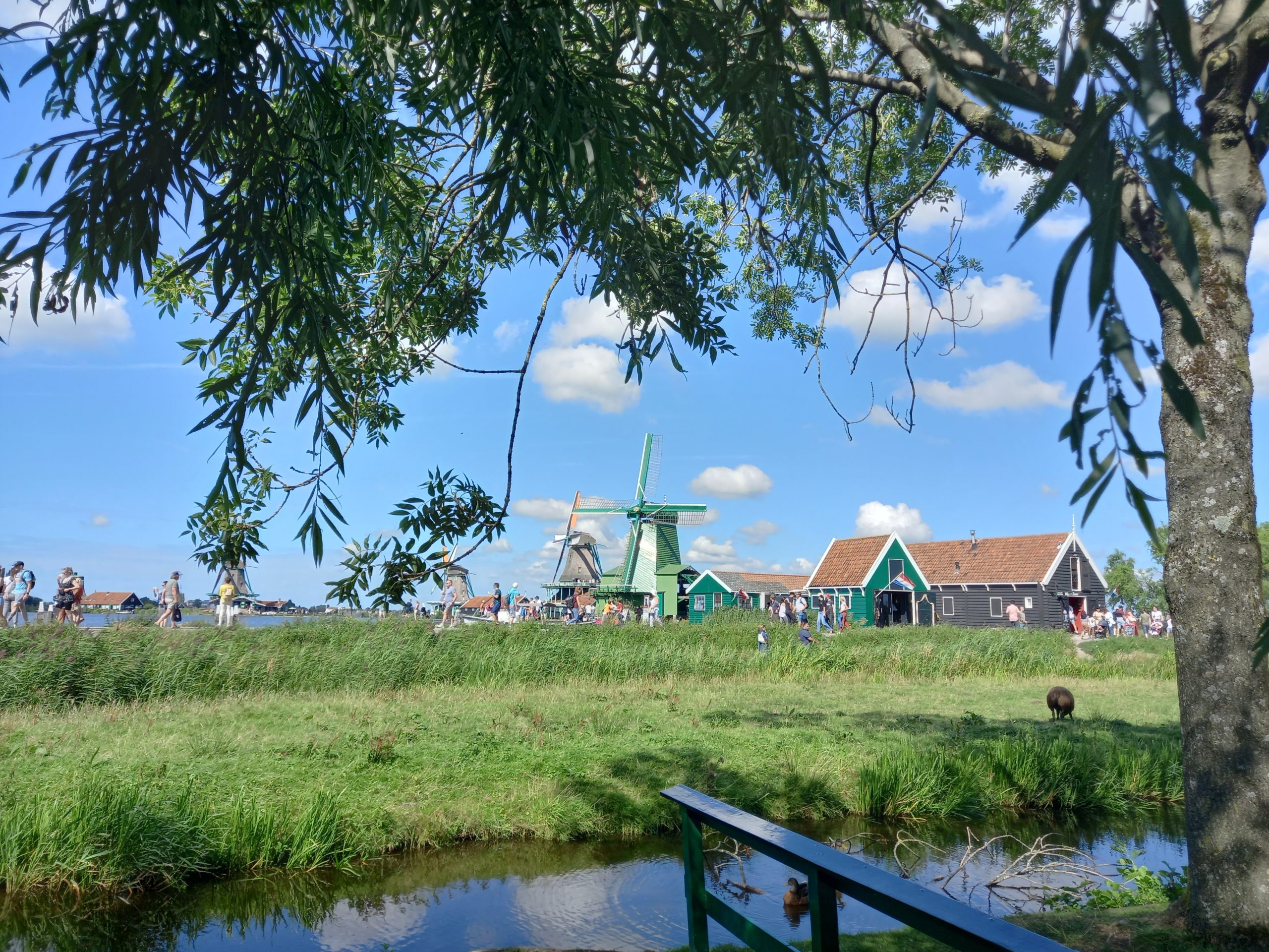 Zaanse schans